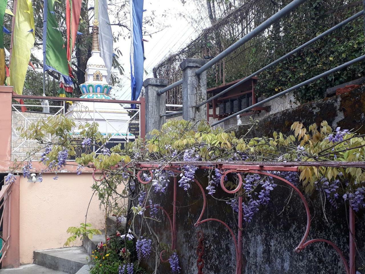Little Singamari Home Stay Darjeeling  Exterior foto