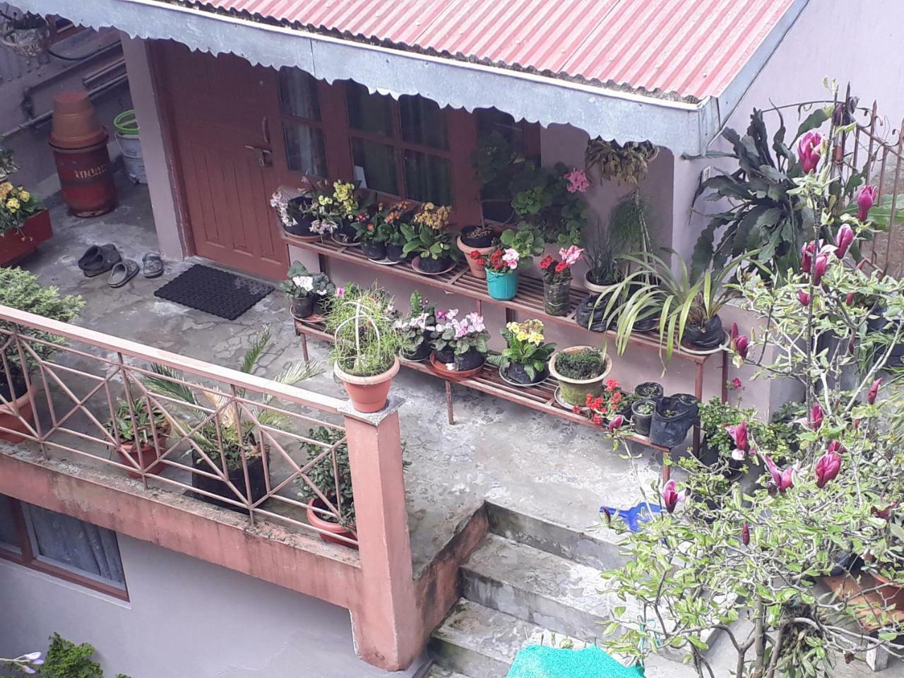 Little Singamari Home Stay Darjeeling  Exterior foto