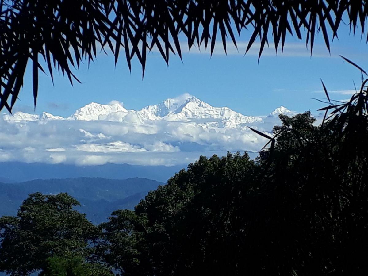 Little Singamari Home Stay Darjeeling  Exterior foto
